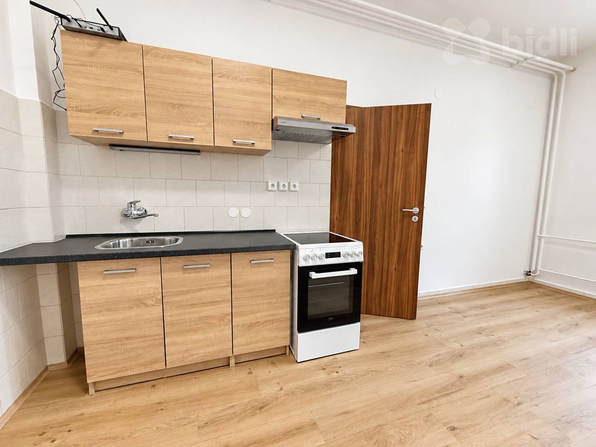 Pronájem bytu 1+1 30 m² – fotografie 3
