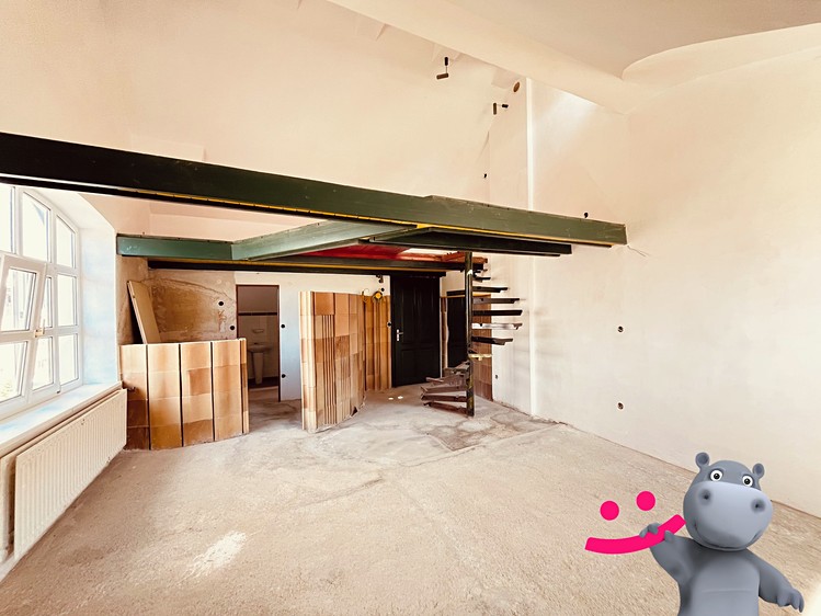 Haus zum Kauf, 314 m² (10 von 21)