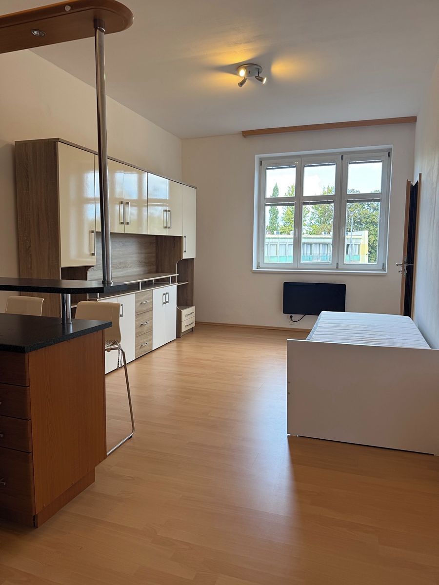 Pronájem bytu 1+kk 29 m²