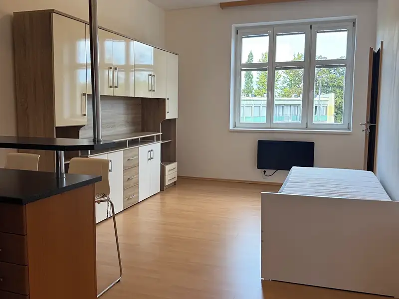 Pronájem bytu 1+kk 29 m², Praha – náhled fotky 1