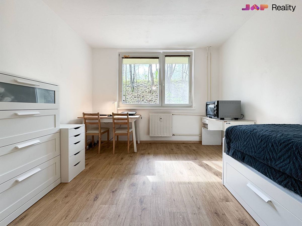 Pronájem bytu 1+kk 20 m² – fotografie 2