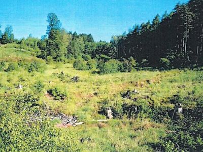 Prodej lesa 8906 m²