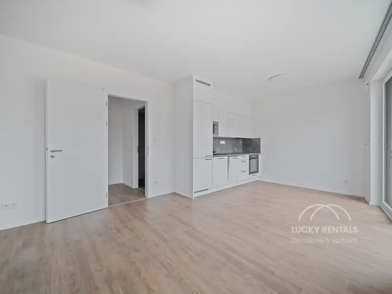 Pronájem bytu 1+kk 30 m², Praha – náhled fotky 3