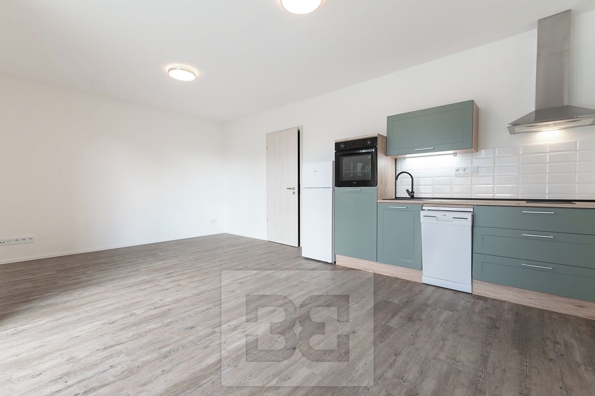 Pronájem bytu 1+kk 37 m²