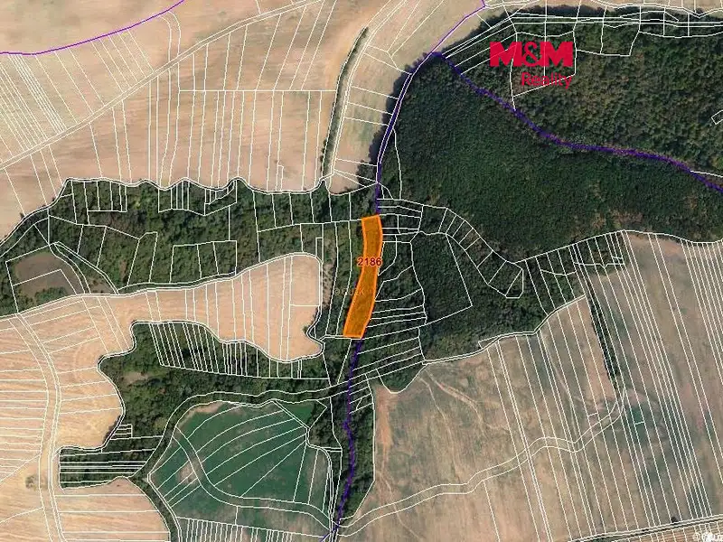 Prodej pozemku 5685 m², Újezdec – náhled fotky 1