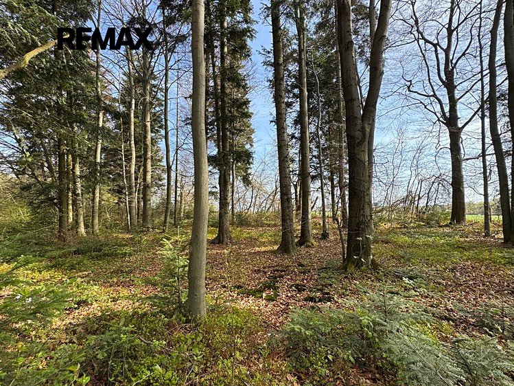 Ділянка на продаж, 25 088 м² (10 з 21)