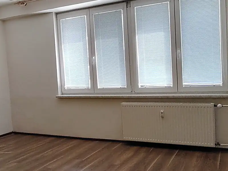 Pronájem bytu 1+kk 33 m², Orlová – náhled fotky 3