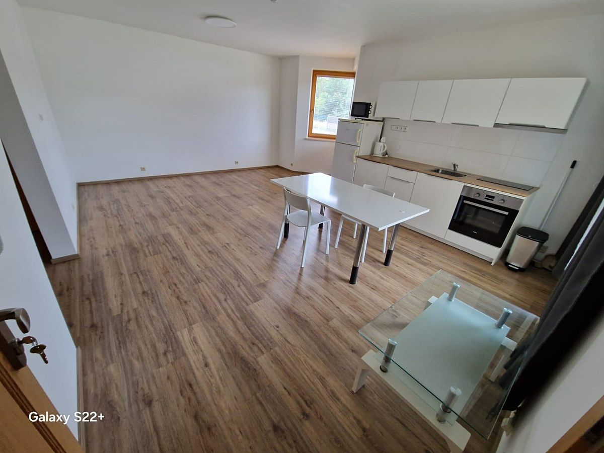 Pronájem bytu 1+1 41 m² – fotografie 3