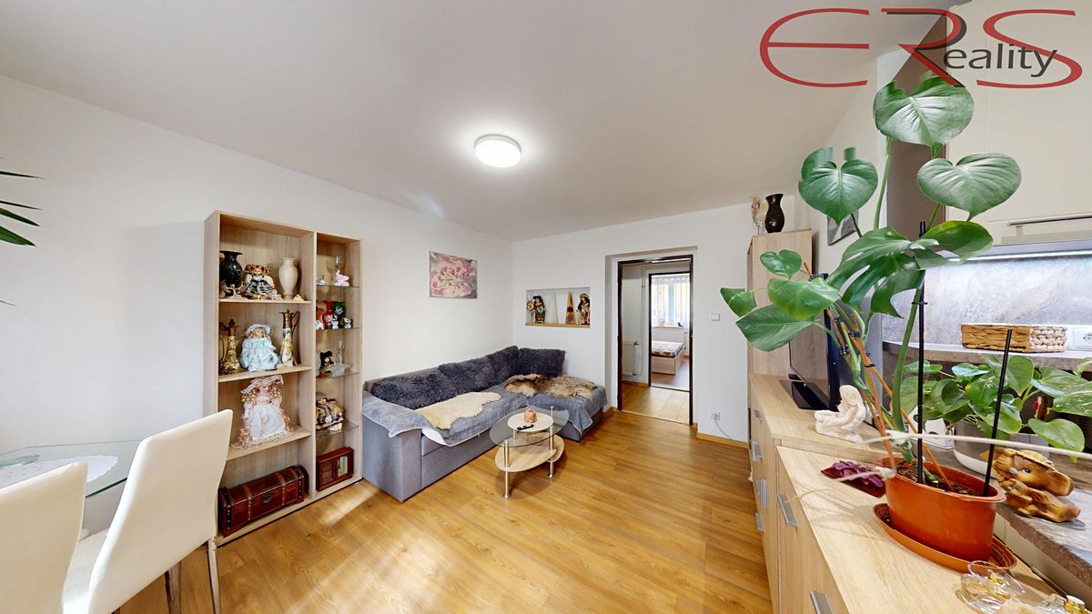 Prodej bytu 3+1 51 m² – fotografie 4