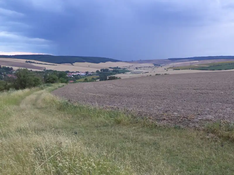 Dražba pole 4541 m², Morkůvky – náhled fotky 1