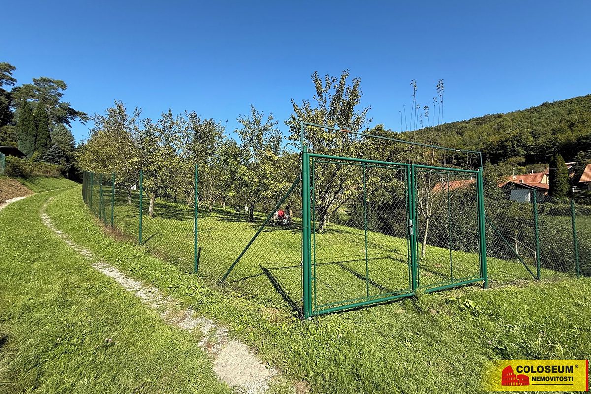 Prodej sadu, vinice 1758 m², Žarošice – fotka 1 z 3