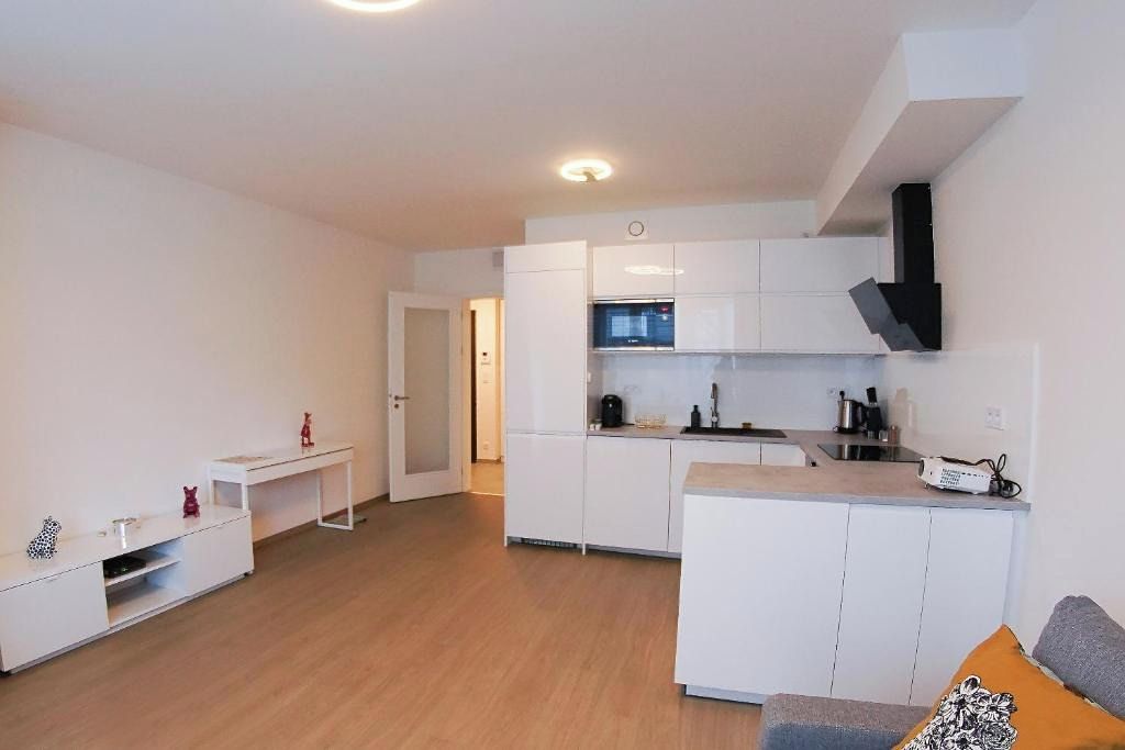 Pronájem bytu 2+kk 54 m² – fotografie 4