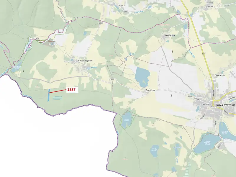 Dražba lesa 11125 m², Nová Bystřice – náhled fotky 1