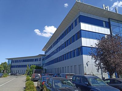 Pronájem obchodního prostoru 258 m²