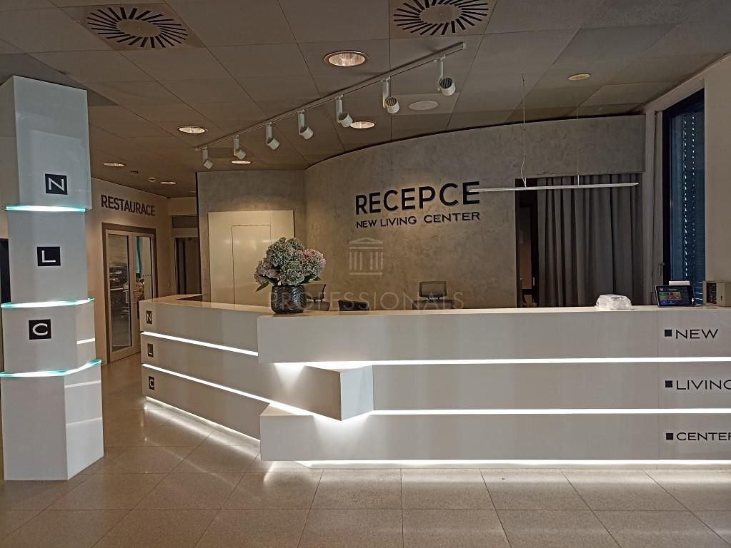 Pronájem obchodního prostoru 258 m² – fotografie 3