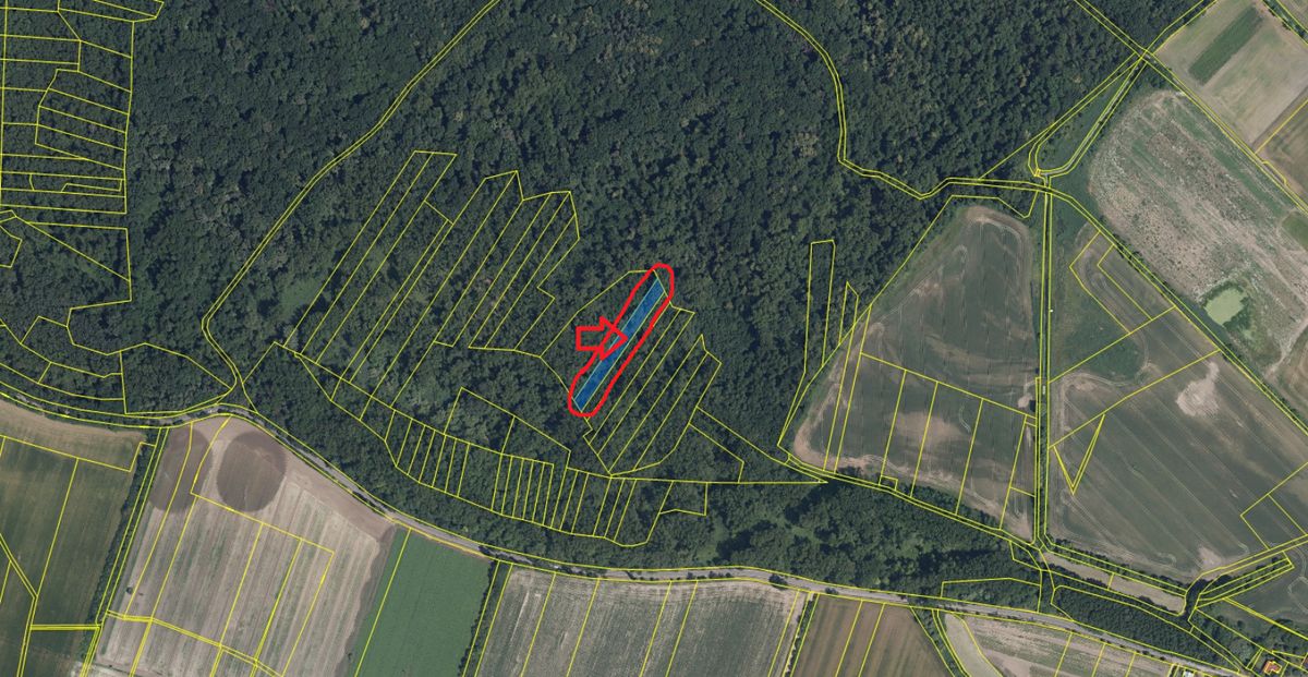 Prodej lesa 2268 m² – fotografie 5