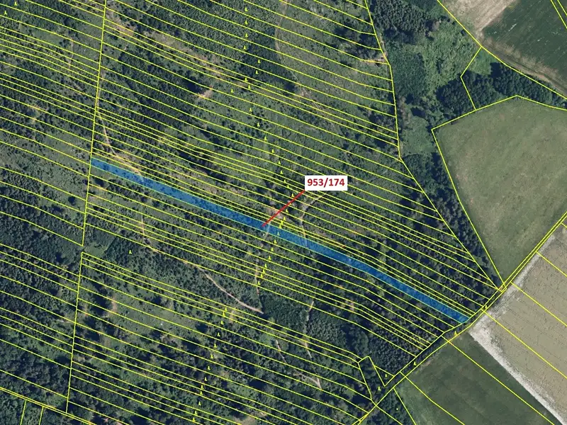 Dražba lesa 6275 m², Nová Hradečná – náhled fotky 2