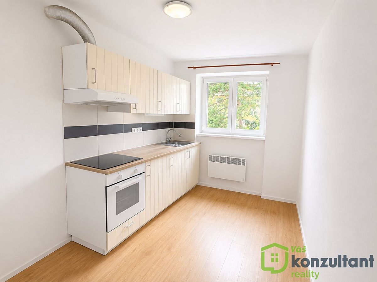 Pronájem bytu 2+1 55 m² – fotografie 4