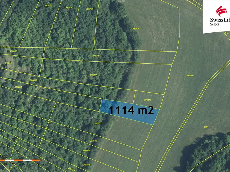 Prodej sadu, vinice 3394 m², Brumovice – náhled fotky 3