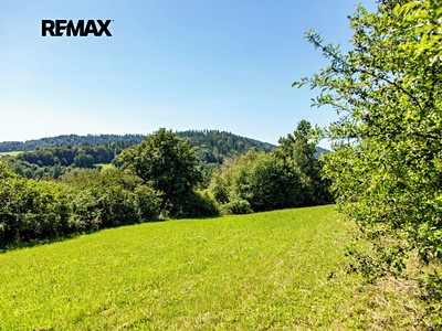 Prodej pozemku, 4 479 m² (3 z 18)