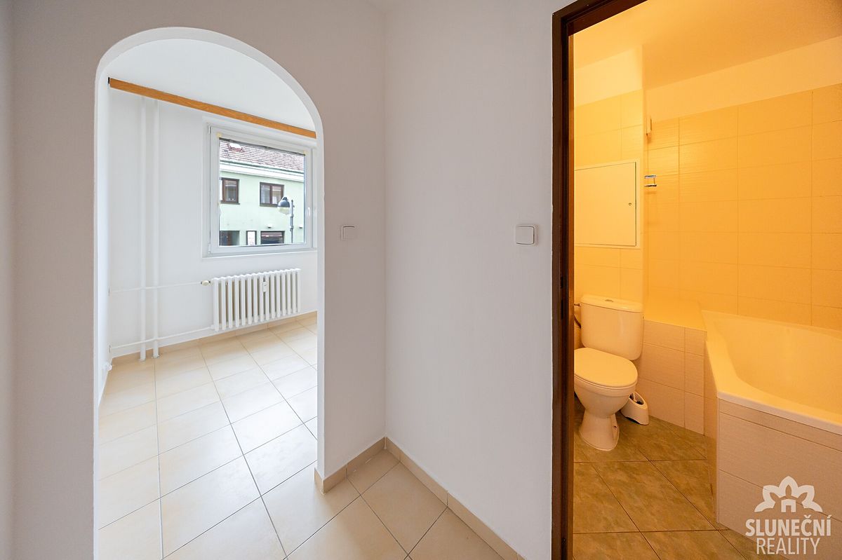 Pronájem bytu 1+1 31 m² – fotografie 4