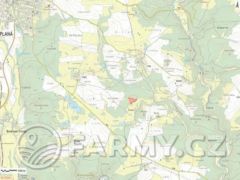 Prodej louky 21513 m², Planá – náhled fotky 3
