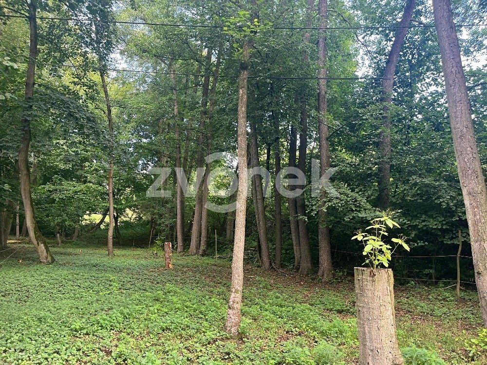 Prodej pozemku 1620 m² – fotografie 3