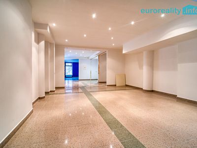 Prodej bytu atypický 301 m²