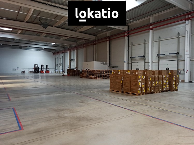 Комерційне приміщення в оренду, 2 500 м² (4 з 5)