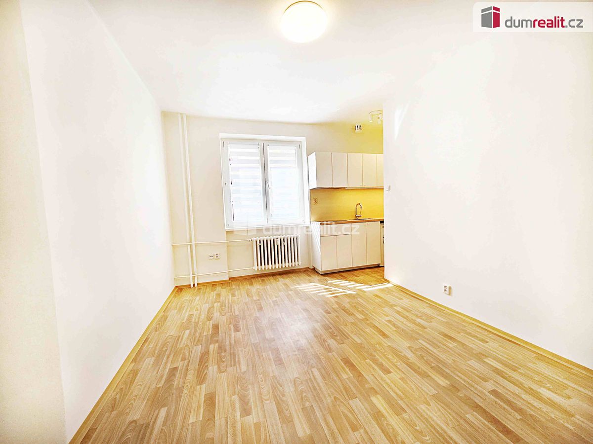 Pronájem bytu 1+kk 21 m² – fotografie 5