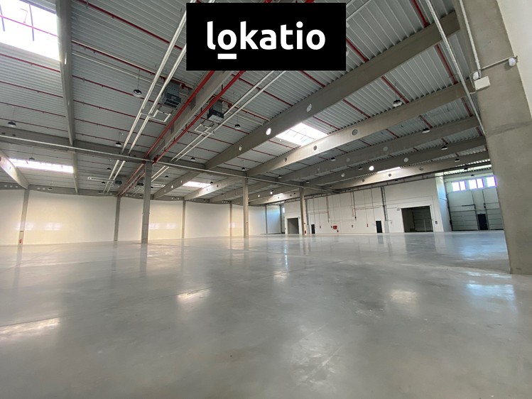 Ostatní