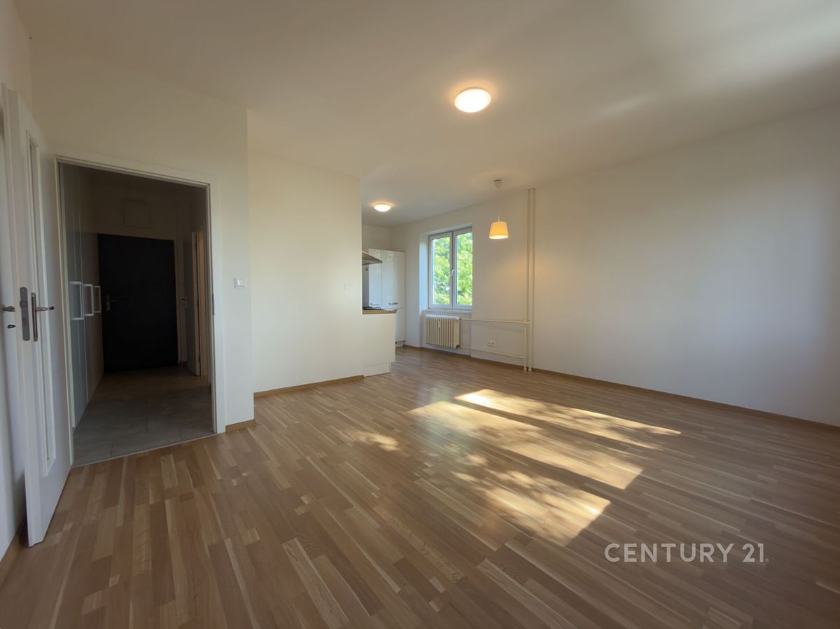 Pronájem bytu 2+kk 55 m² – fotografie 4