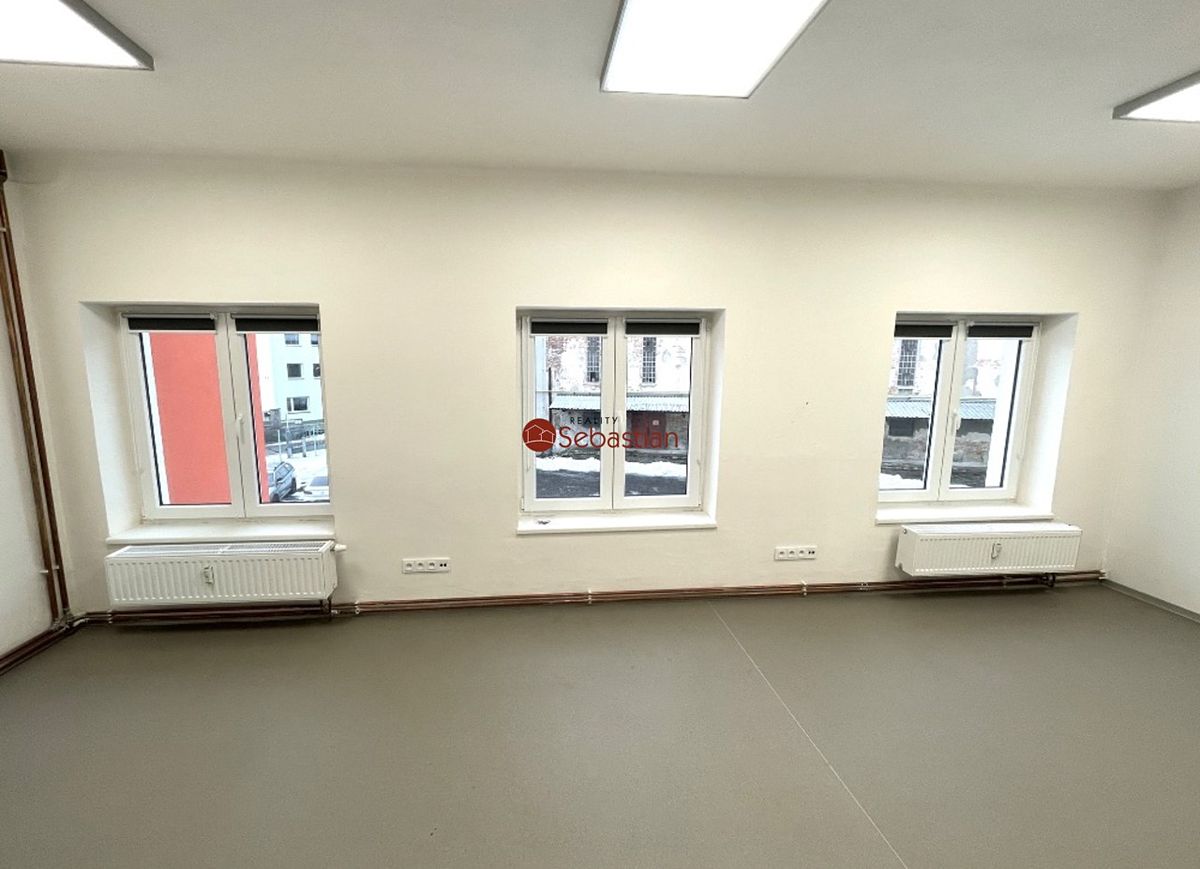 Pronájem obchodního prostoru 245 m² – fotografie 2