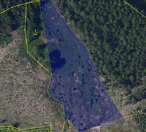 Grundstück zum Kauf, 8.906 m² (4 von 4)
