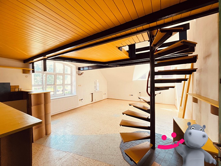 Haus zum Kauf, 314 m² (3 von 21)