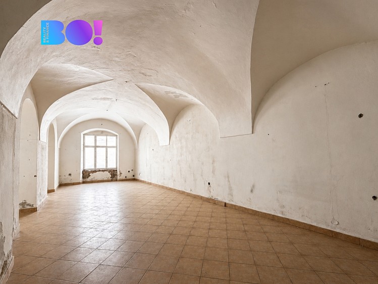 Prodej komerčního prostoru, 260 m² (6 z 18)
