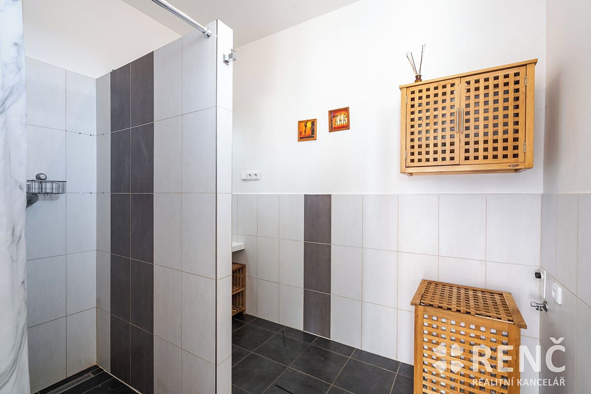 Pronájem bytu 1+1 52 m² – fotografie 4