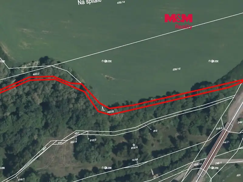 Prodej lesa 909 m², Trhové Dušníky – náhled fotky 1