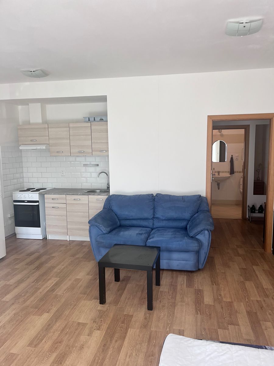 Pronájem bytu 1+kk 38 m²