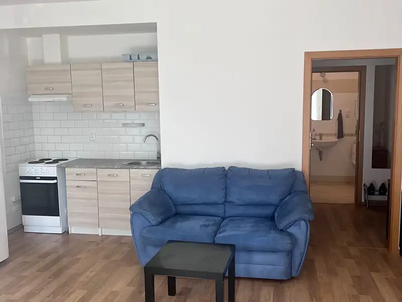 Pronájem bytu 1+kk 38 m², Praha – náhled fotky 1