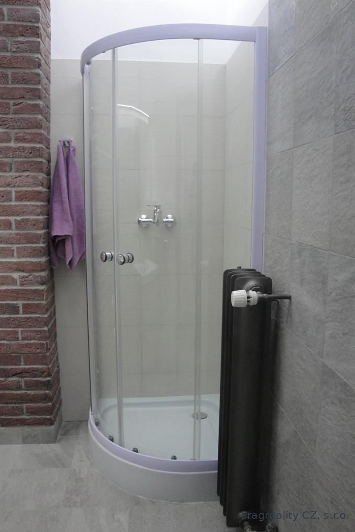 Pronájem bytu 1+kk 30 m² – fotografie 5