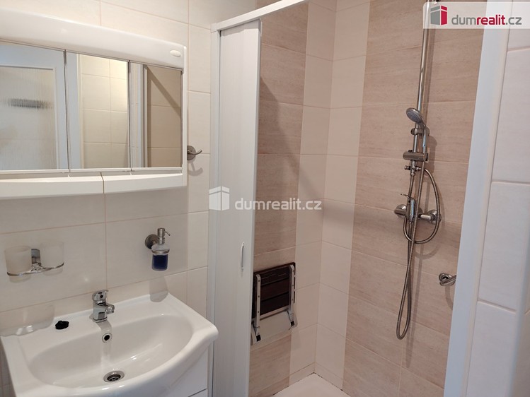 Pronájem bytu 2+1, 55 m² (7 z 8)