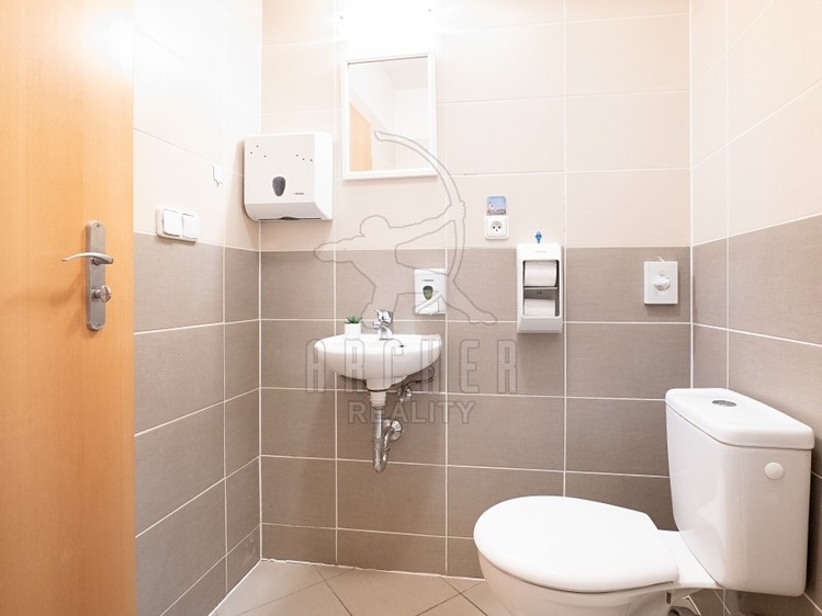 Prodej domu, 130 m² (15 z 40)