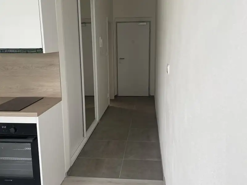 Pronájem bytu 1+kk 35 m², Plzeň – náhled fotky 2