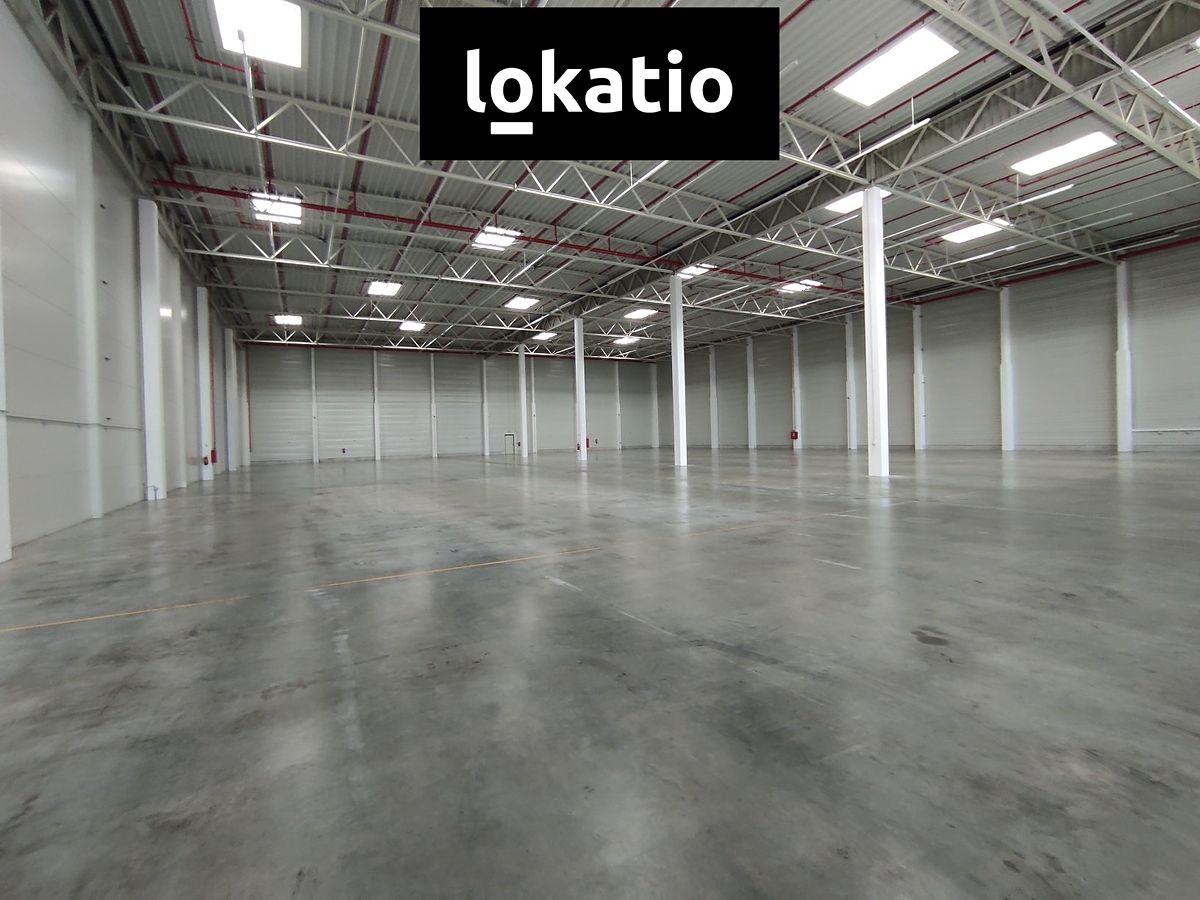 Pronájem skladového prostoru 2733 m² – fotografie 4