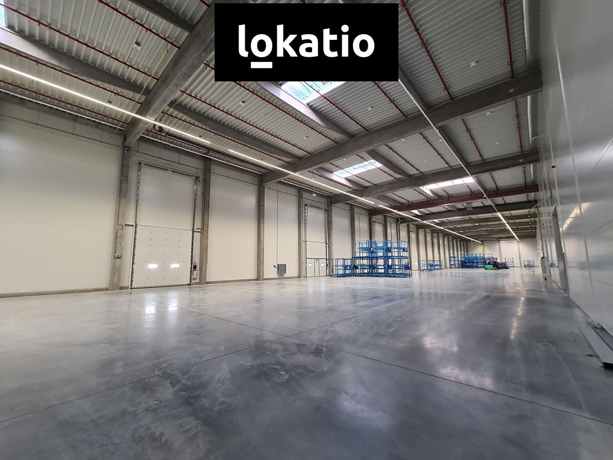 Pronájem skladového prostoru 2000 m² – fotografie 2