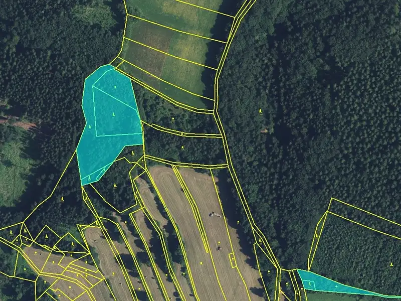 Prodej lesa 11901 m², Drozdov – náhled fotky 1