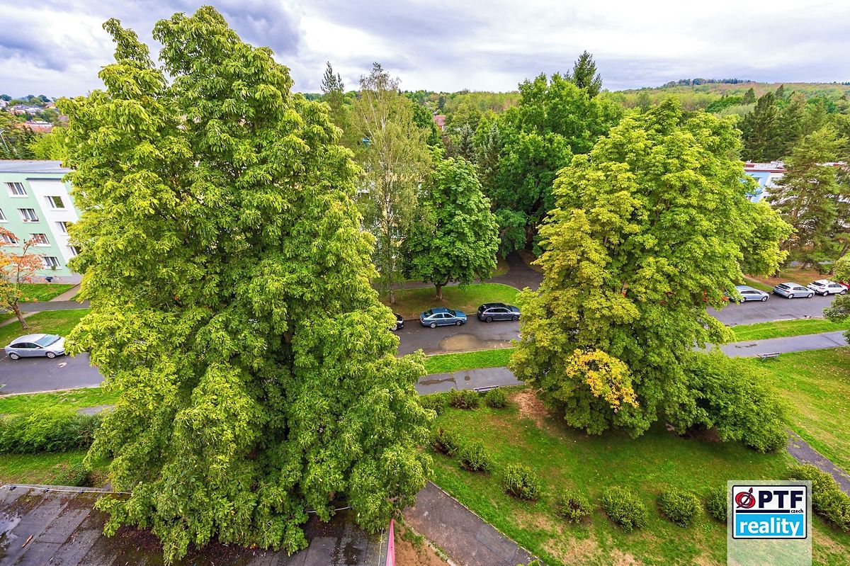 Prodej bytu 3+1 63 m² – fotografie 5