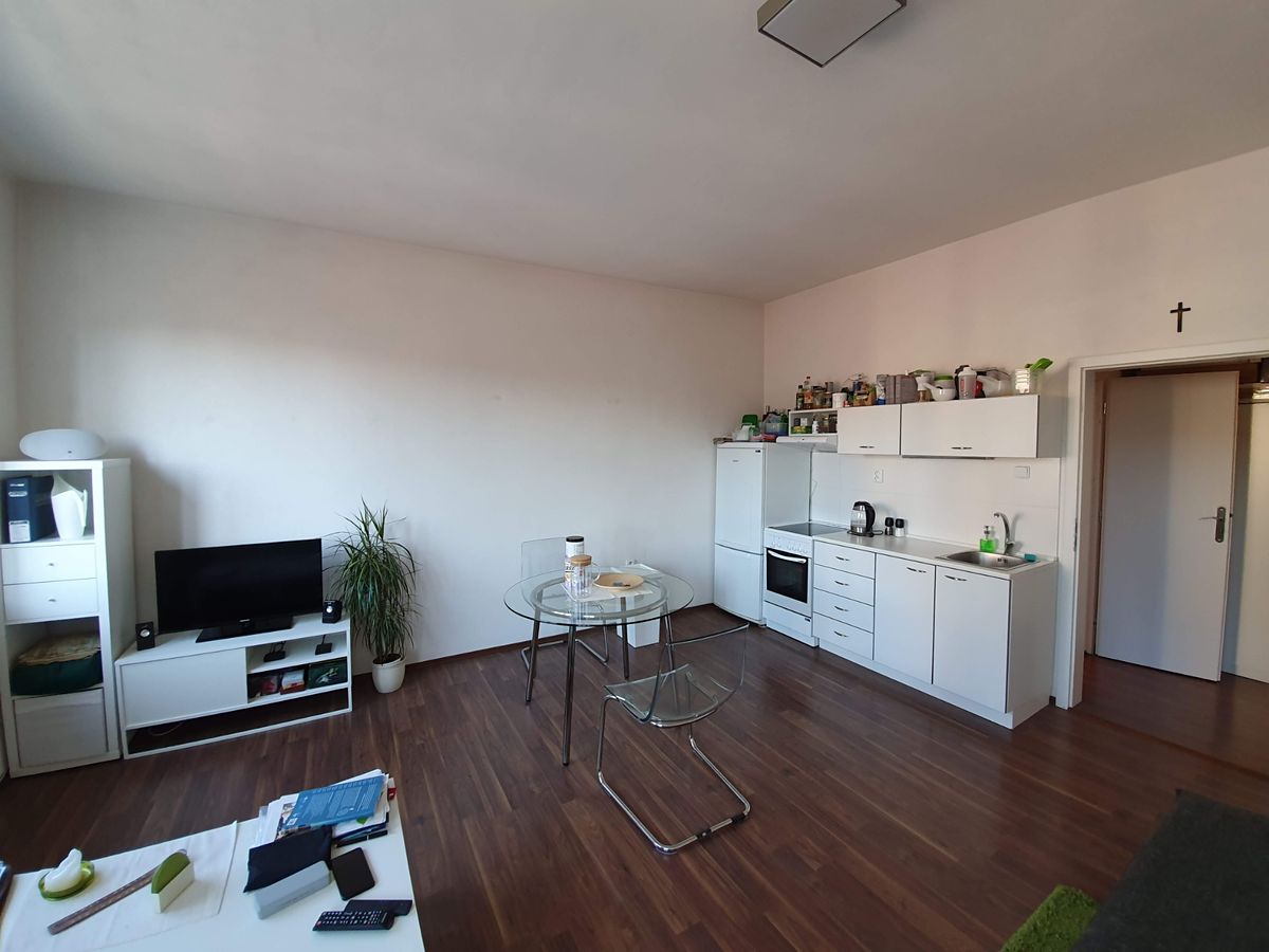 Pronájem bytu 1+kk 36 m²