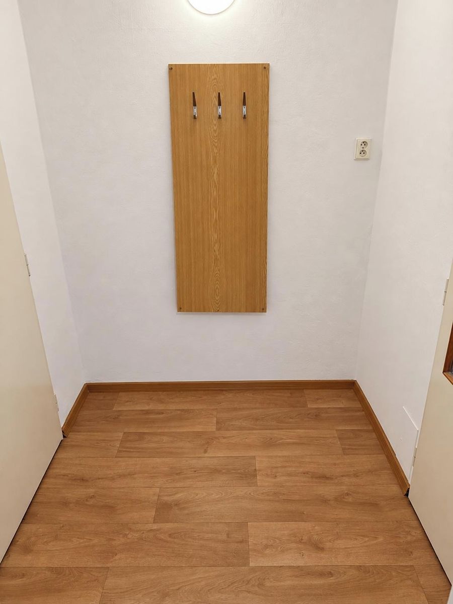 Pronájem bytu 1+kk 28 m² – fotografie 4